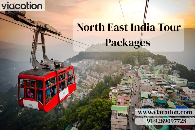 Affordable North East India Tour Packages 17641397459