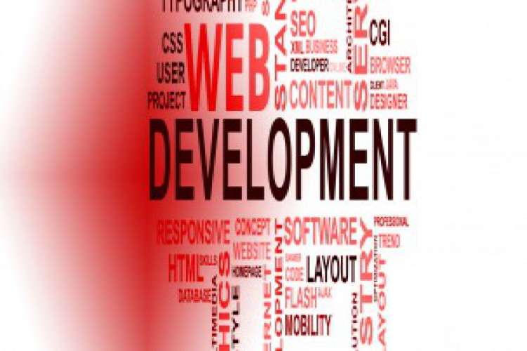 Affordable Web Development Company In India 9234599