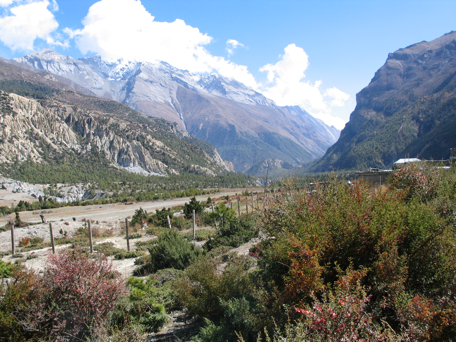 Annapurna Base Camp Trek Women Adventures 17106596446