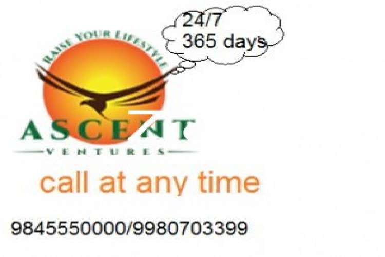 Ascent Packers Movers International Domestic In Bangalore 7947886