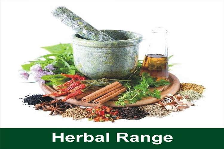 Ayurvedic Medicine Pcd Franchise Company In India 163437185010