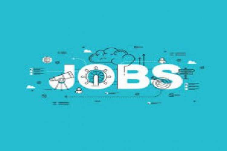 Backdoor Jobs Freshers Hyderabad 4129559