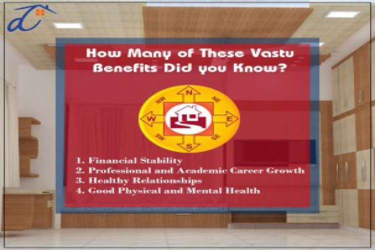 Best Architects In Udaipur 6156943