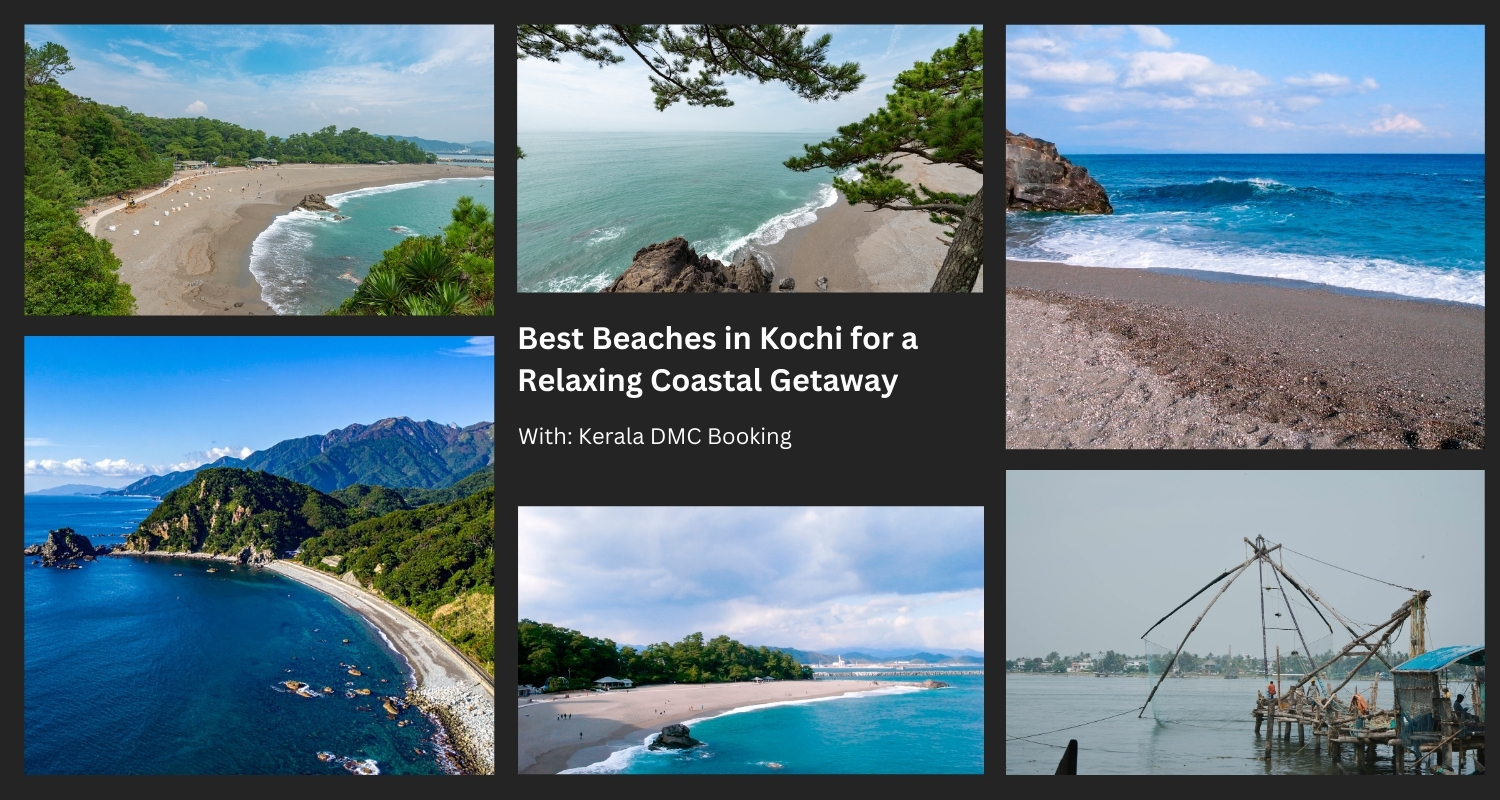 Best Beaches In Kochi To Experience Kerala Natural Beauty 17727123351