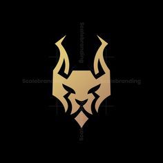 Best Brochure Design Chennai 17737443232