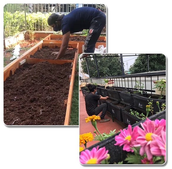 Best Cucumber Seeds At Karat Farms 17416976197