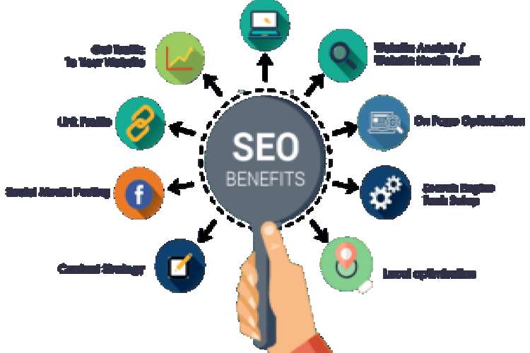 Best Digital Marketing Company In Udaipur   World Seo Services 4342517