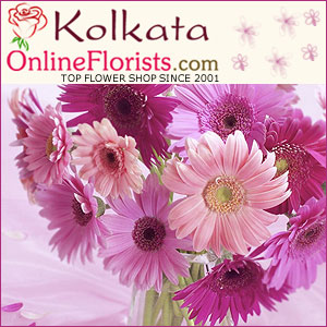 Best Gifts For Occasion Of Light In Kolkata Free Delivery Cheap Price 16572645497