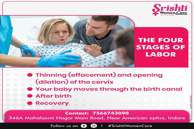 Best Gynecologist In Indore 8433624