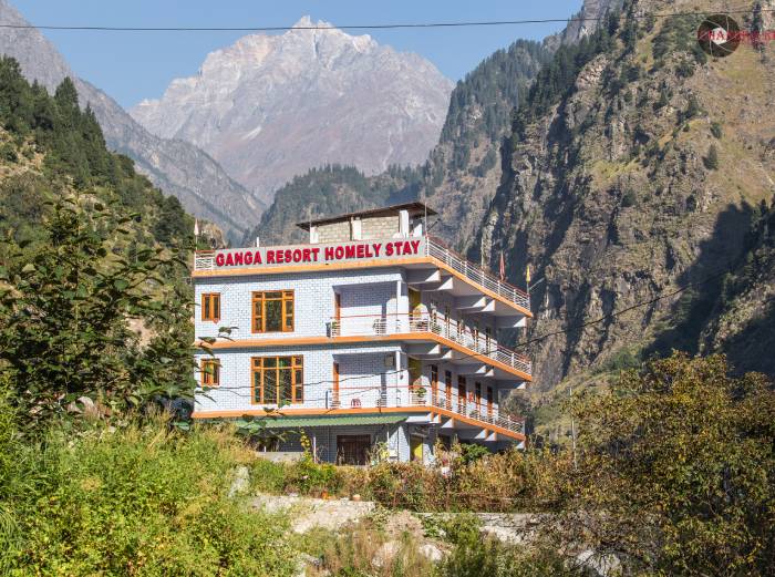 Best Homestay In Joshimath For Family Visit Gnaga Resort 17773669310