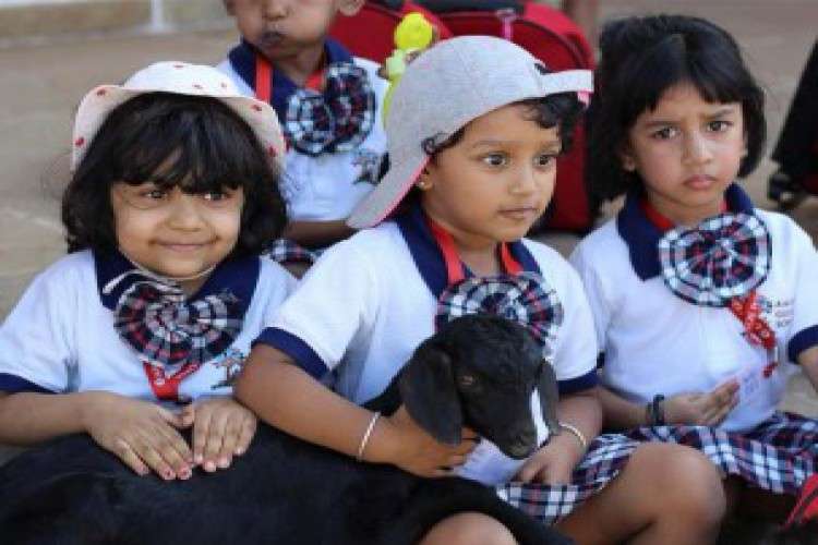 Best Ib School In Chennai Admission Open 1887194