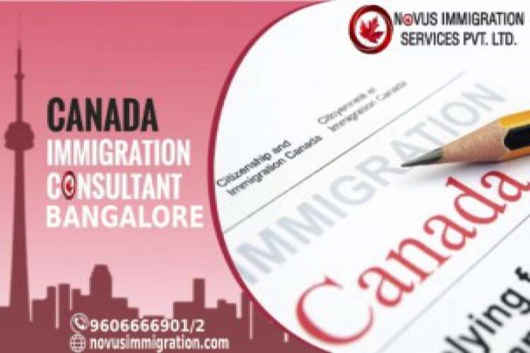 Best Immigration Consultant In Bangalore 4288640