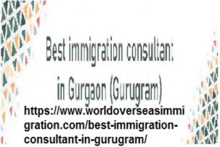 Best Immigration Consultant In Gurugram 7010450
