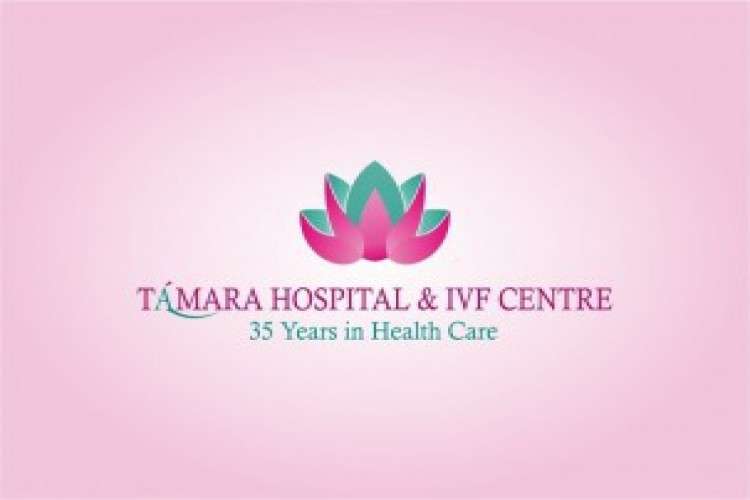 Best Ivf Centre In Bangalore Top Fertility Doctor 7059231
