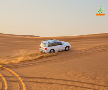 Best Offers On Desert Safari Tours For Dubai Desert Safari Tours 16620099128