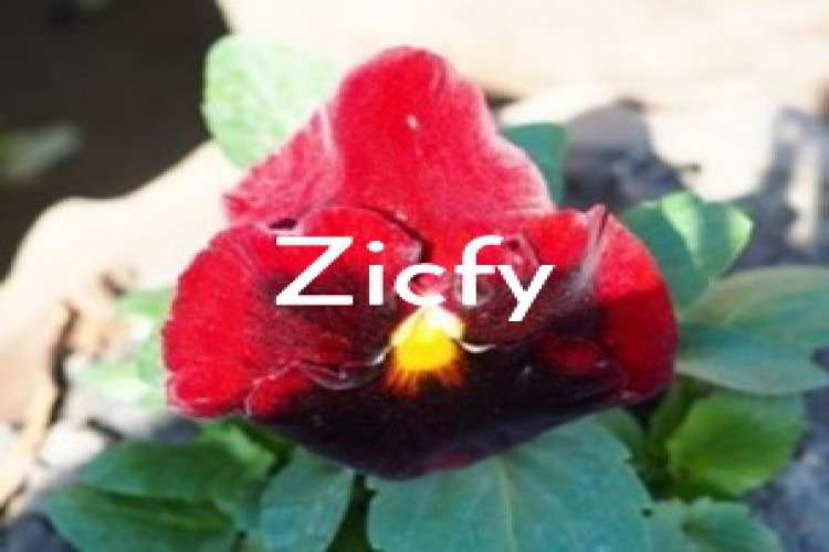 Best Online Jobs 2017   Simple Data Entry Jobs5032 6618912