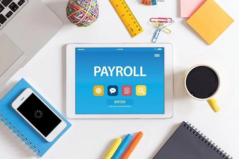 Best Payroll Software In India 16682421669