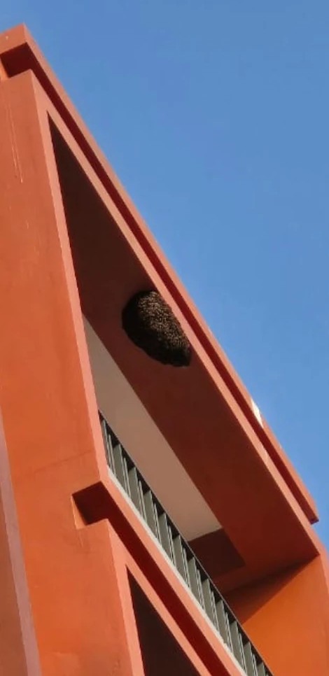 Best Pest Control Aligarh 17886295557