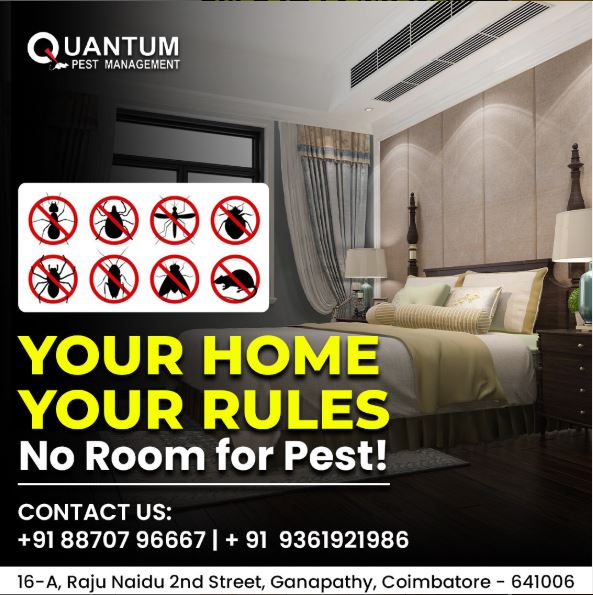 Best Pest Control Coimbatore 17458344732
