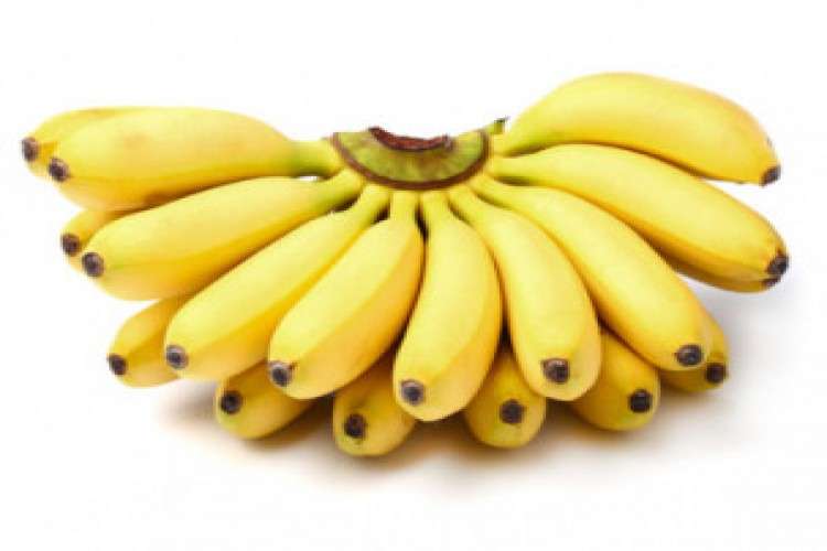 Best Price Online Shopping Free Two Hour Delivery 7946395