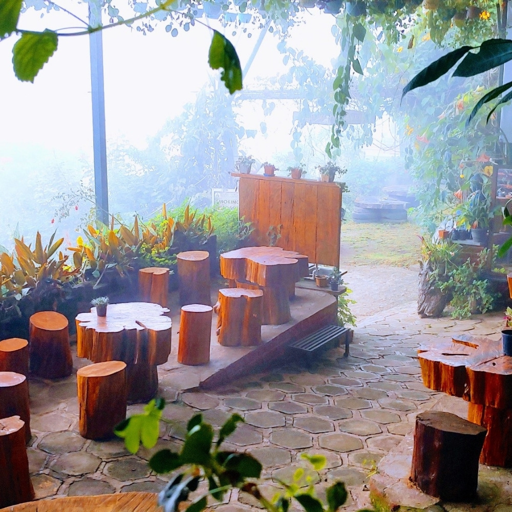 Best Resorts In Kodaikanal Luxury Resorts In Kodaikanal 17627802821