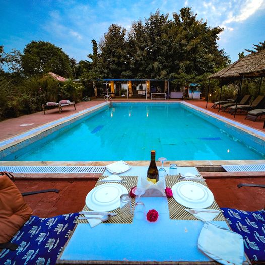 Best Resorts In Ranthambore   Maa Ashapura Farm 16746378753