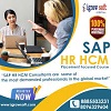 Best Sap Hr Hcm Online Training In Hyderabad Igrowsoft 17642280858