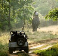 Best Uttarakhand Tour Packages At The Travelit 17298355135