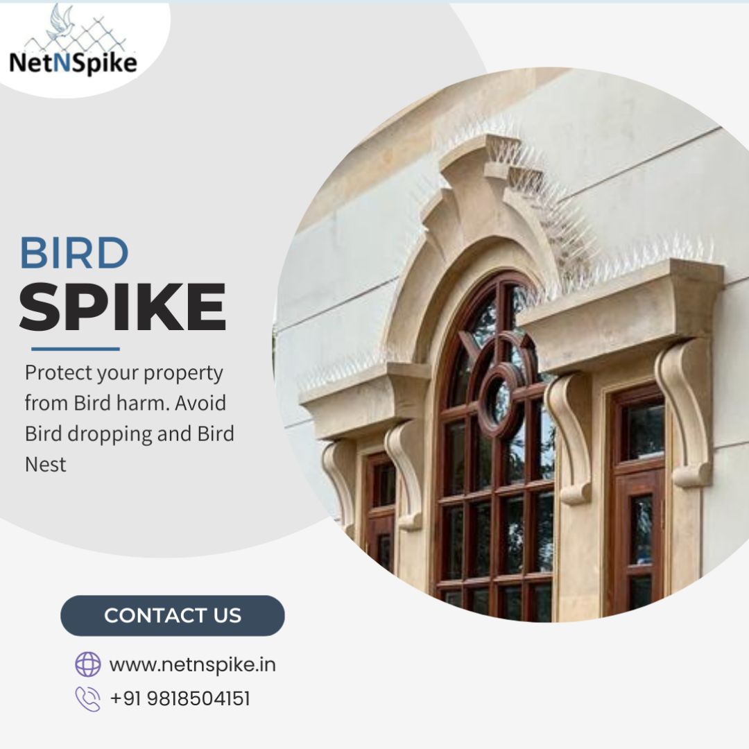 Bird Spikes By Netnspike The Ultimate Solution For Bird Control 17020236396