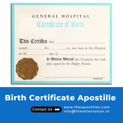 Birth Certificate Apostille 17045367951