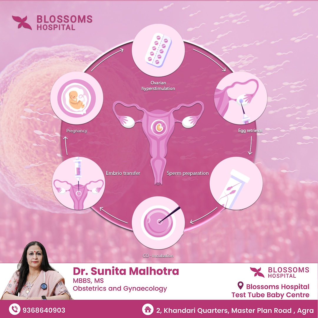 Blossom Hospital   Your Friendly Health And Wellness Partner 173778488010