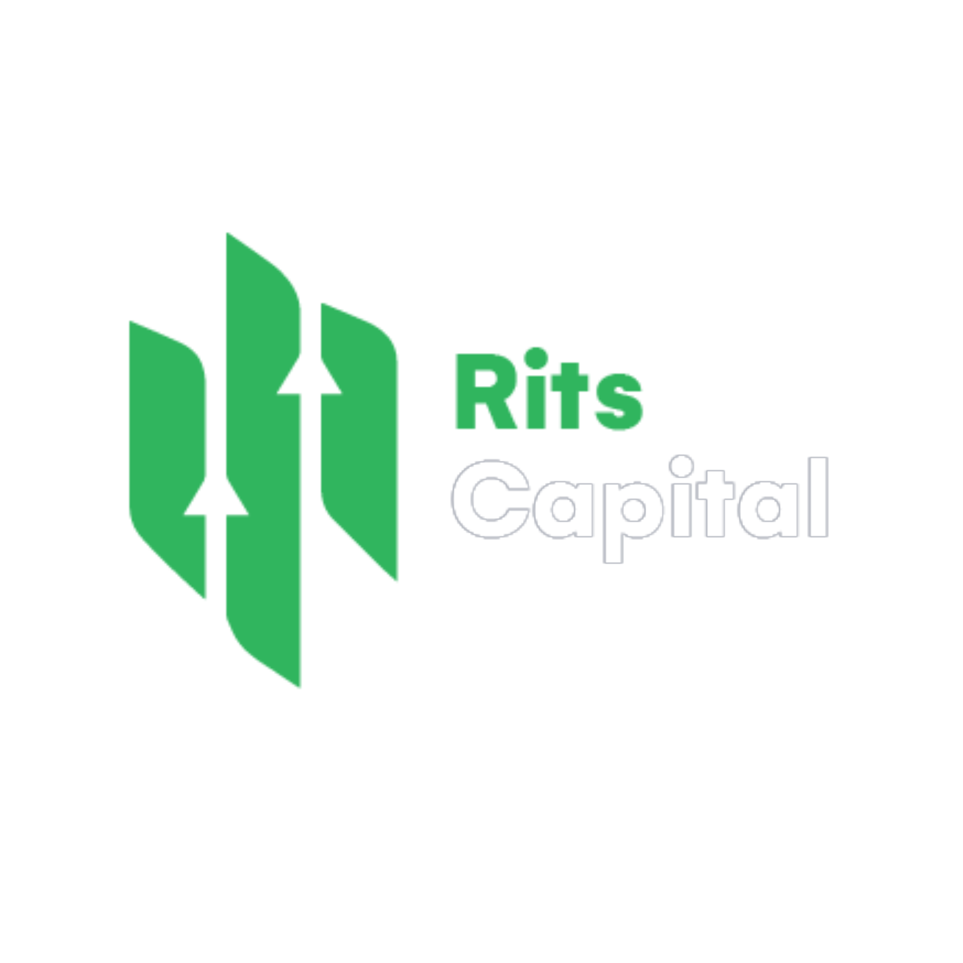 Blsx Limited Unlisted Shares Secure Access Via Rits Capital 17658640270