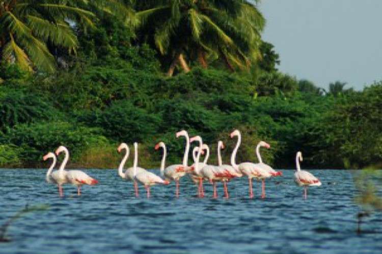 Book The Best Kerala Tour Packages From Bangalore 3991751