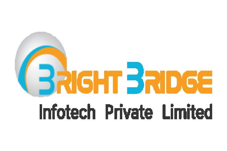 Bright Bridge Best Digital Marketing Seo And Social Media Companies 4535187