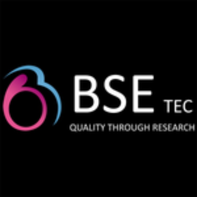 Bsetec   Blockchain Development Company 16975431849