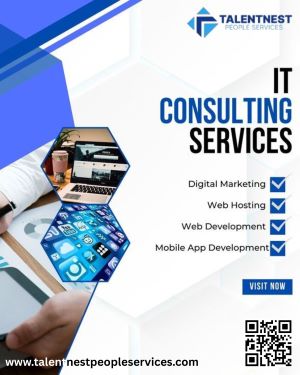 Business Consultant Services Providers In India 17643142199