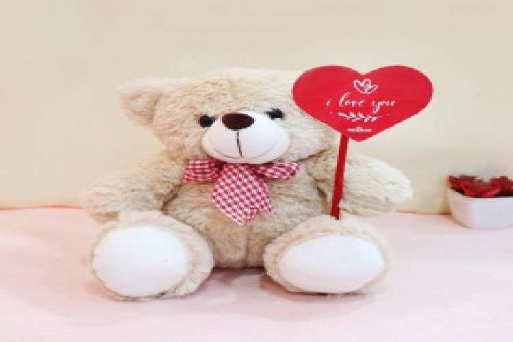 Buy And Send Gifts Online For Promise Day   Myflowertree 8921403