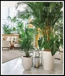 Buy Artificial Tree From Manufacturers In India 175696852410