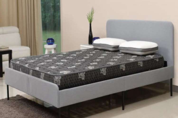 Buy Best Mattress Online India At Centuary Mattresses 7345782