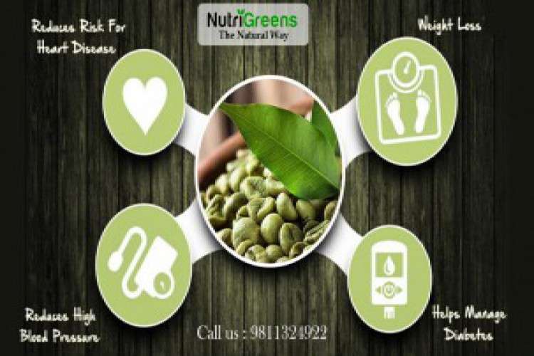 Buy Best Organic Green Coffee Online Nutrigreens 9394610