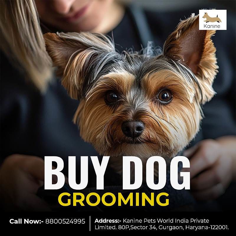 Buy Dog Grooming Online 17340901476