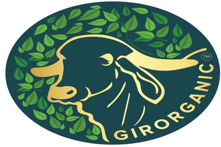 Buy Premium Quality Gir Cow Ghee From Girorganic 16340404367