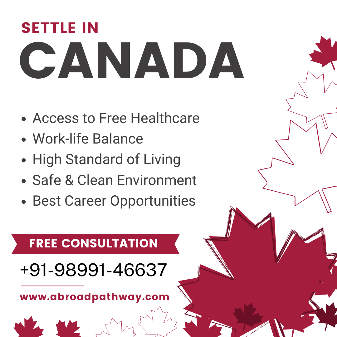 Canada Immigration Consultant 16833499701