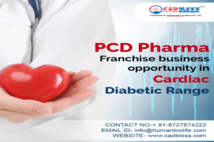 Cardiac Diabetic Pcd Pharma Franchise 3606233