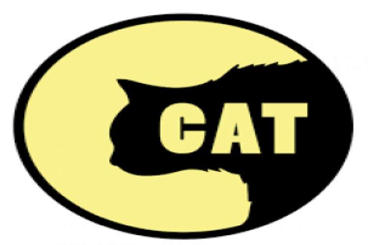 Cat Entertainments   Video Production Services 7207500
