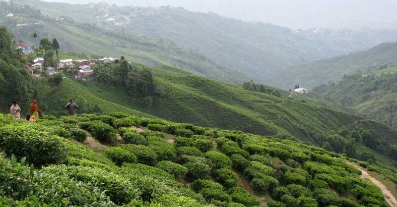 Cheapest Sikkim Darjeeling Tour Package Cost   Book Now 17138584916