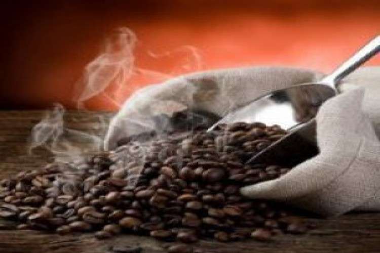 Coffee Powder Manufacturers In India Mkcfoodproducts 8521253