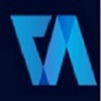 Company Valuation   Virtual Auditor Pvt Ltd 17764246816