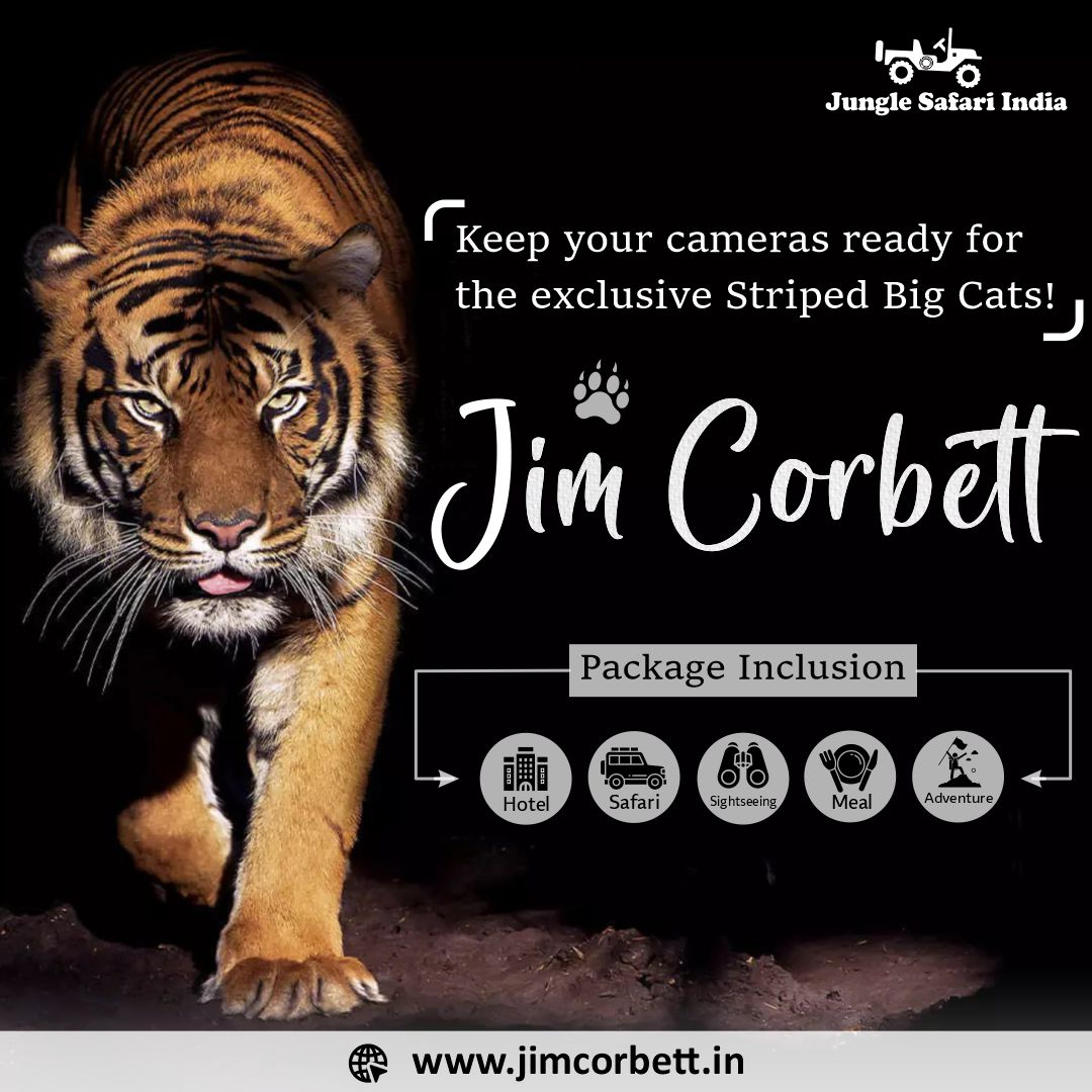 Corbett Fun Tour With Jeep Safari Book Now 17157774527