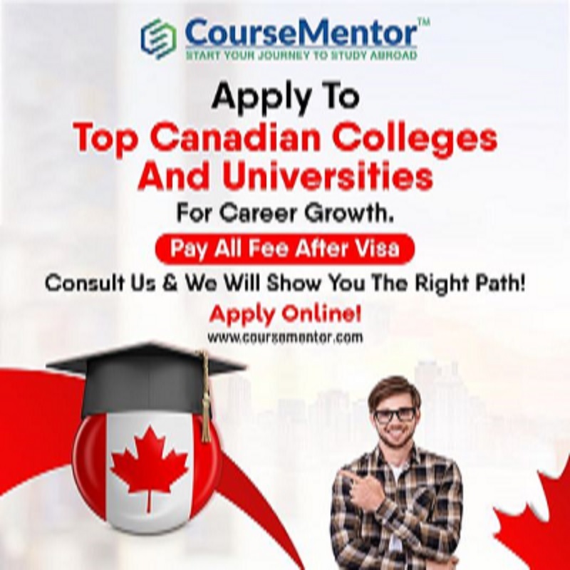 Course Mentor Study Abroad 16680625200